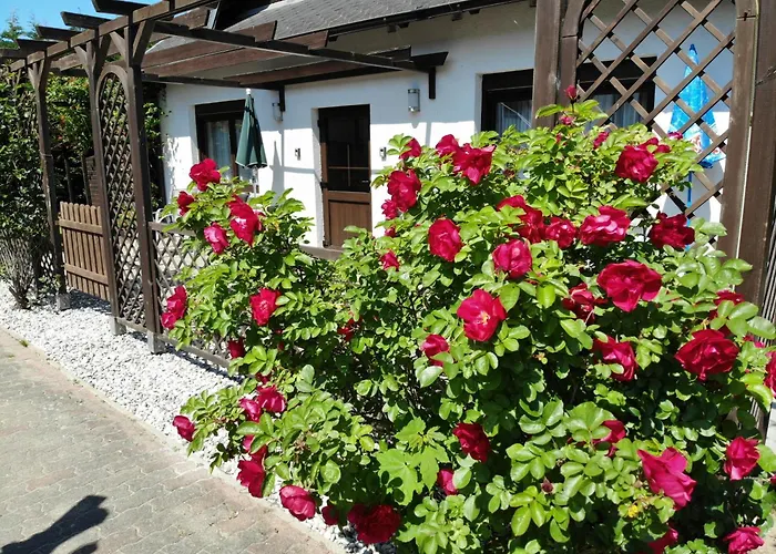 Kress Rechts Appartement Sellin (Rugen)